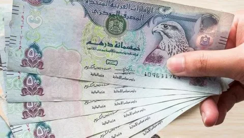 استقرار نسبي في سعر الدرهم الاماراتي اليوم الاحد الموافق 2024/11/10 في مختلف البنوك المصرية