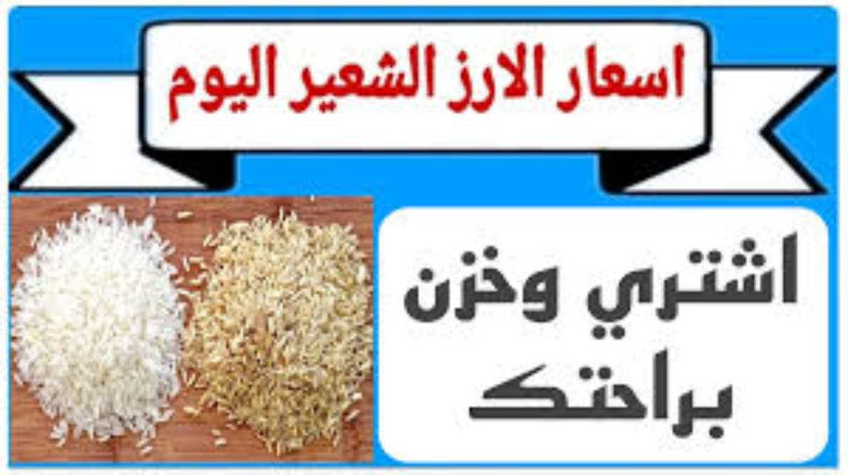 “إشترى وخزنى براحتك”.. سعر طن الأرز الشعير اليوم الخميس 21-11-2024 للمستهلك والتاجر بالاسواق