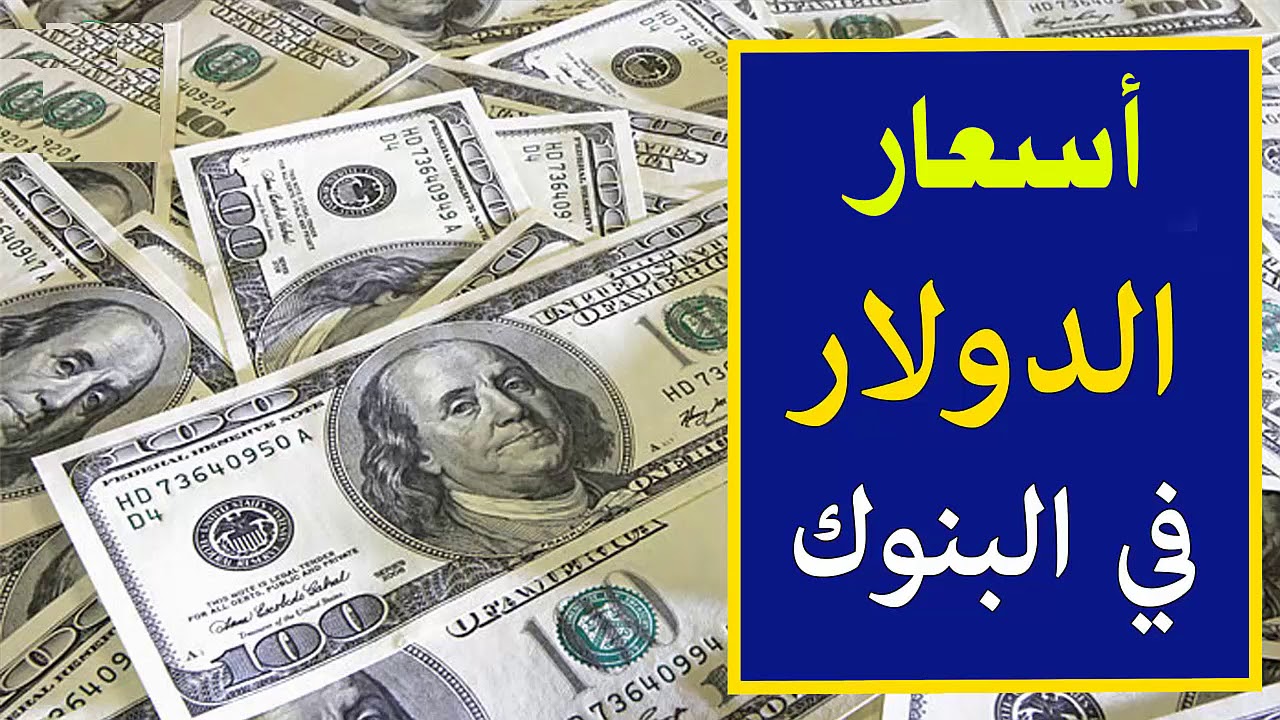 سعر الدولار اليوم في البنوك الثلاثاء 12 نوفمبر 2024 مقابل الجنيه المصري للبيع والشراء.. رسمياً