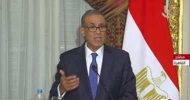 وزير الخارجية: مصر تقدم كل أشكال الدعم لتشاد فى مكافحة الإرهاب