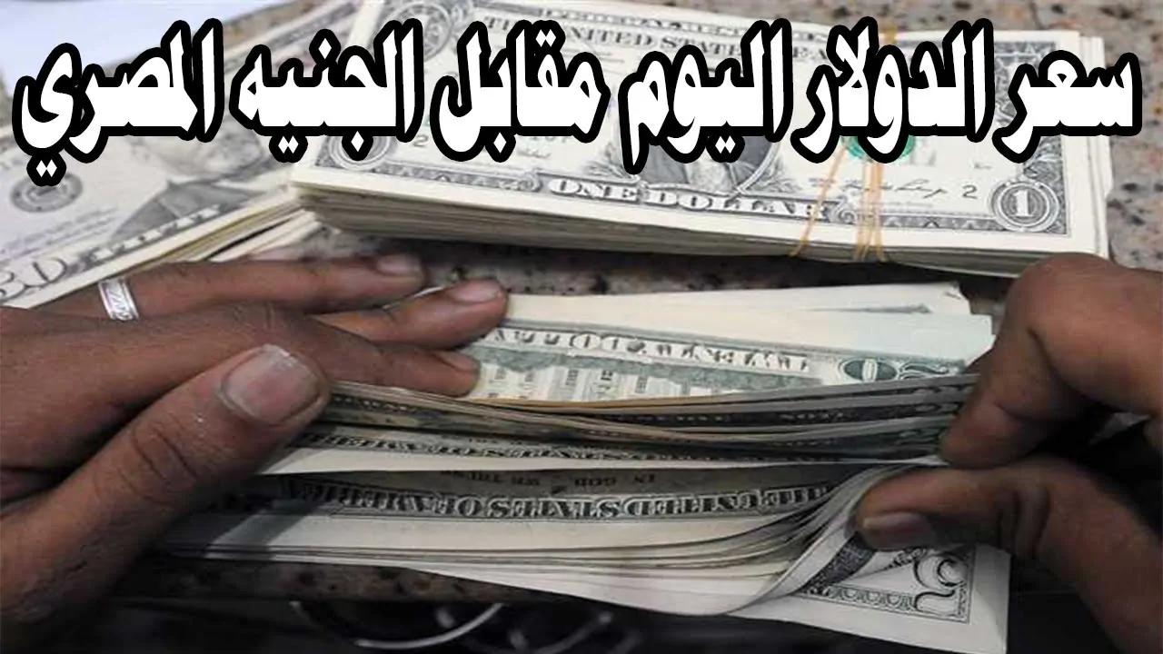 سعر الدولار في البنك المركزي مقابل الجنية اليوم الخميس 5-12-2024 وفي مختلف البنوك المصرية