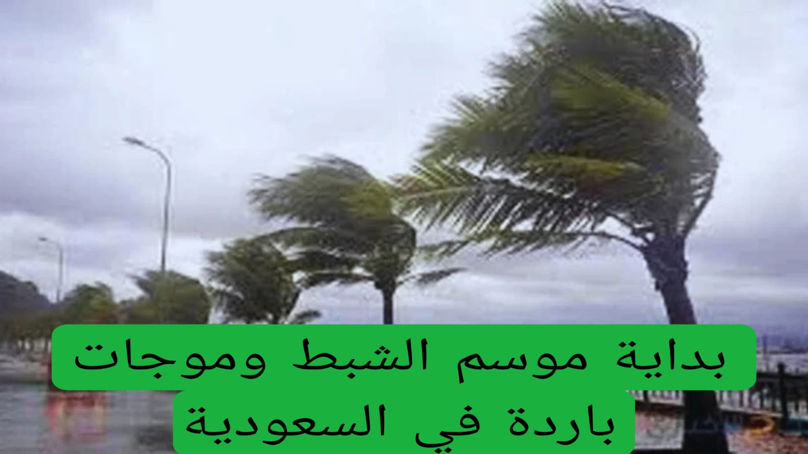 “الزعاق” يكشف موعد انتهاء المربعانية بداية موسم الشبط.. موجات باردة!