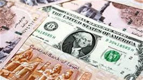 سعر الدولار مقابل الجنيه المصري اليوم الأحد 12 يناير 2025