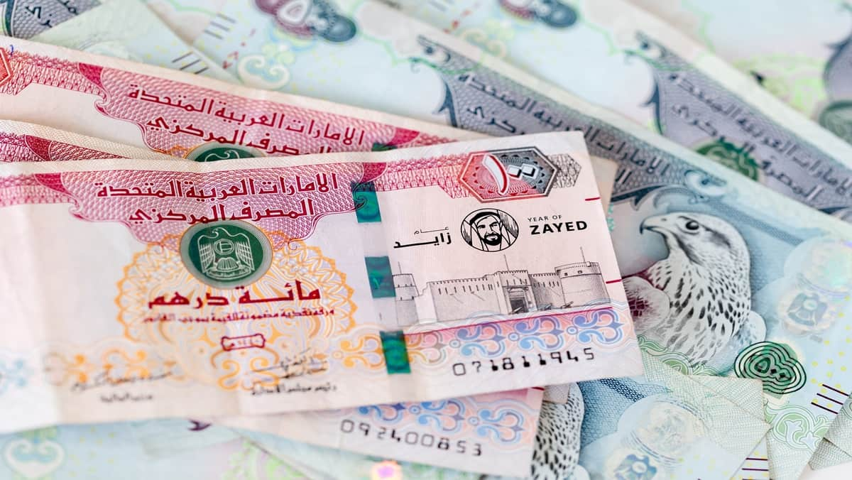 سعر الدرهم الإماراتي مقابل الجنيه المصري اليوم 3 يناير 2025.. استقرار ملحوظ في البنوك